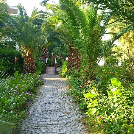 Club Flipper Bodrum Hotel Yalıkavak