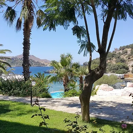 Club Flipper Bodrum * 얄리카베크