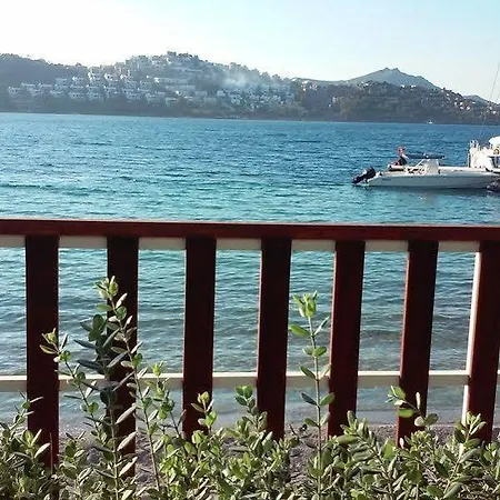 Club Flipper Bodrum * 얄리카베크