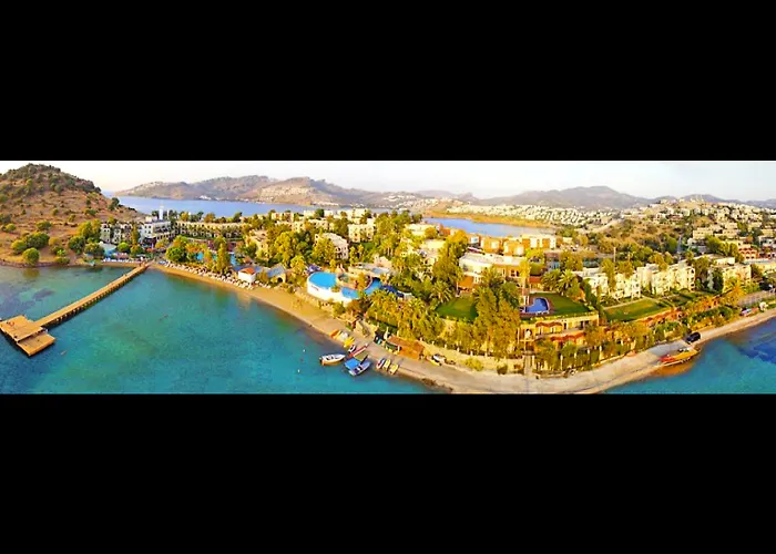 호텔 Club Flipper Bodrum *