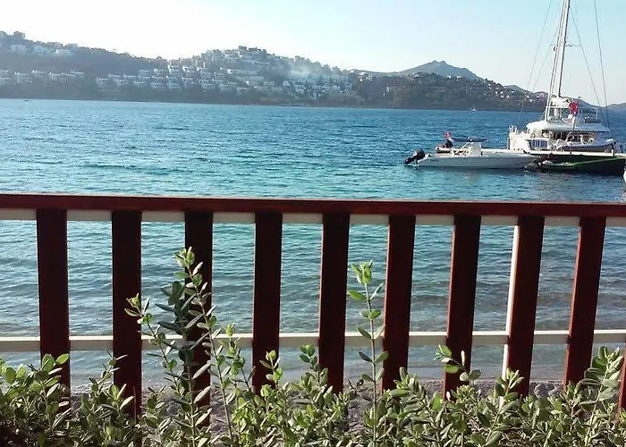 Club Flipper Bodrum * 얄리카베크